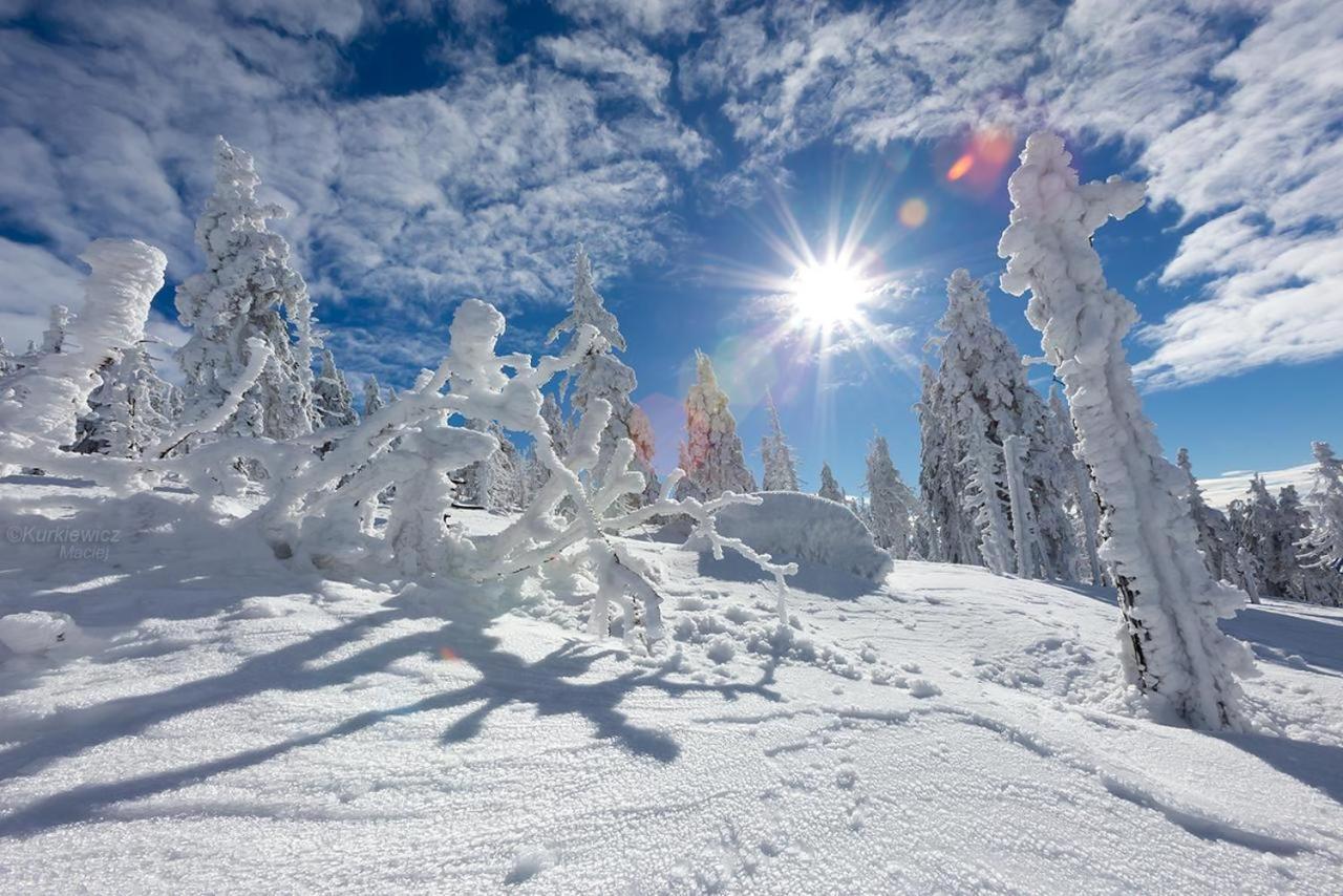 Domek 4Seasons Karpacz Z Prywatna Sauna I Kominkiem Exterior foto